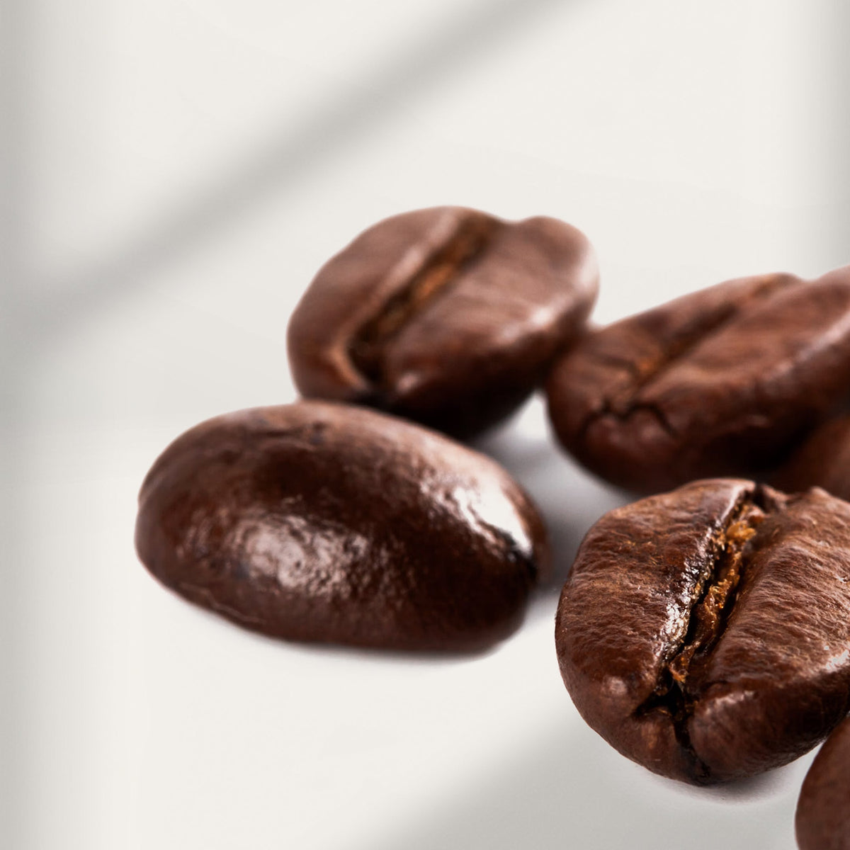 Our Exclusive Blend